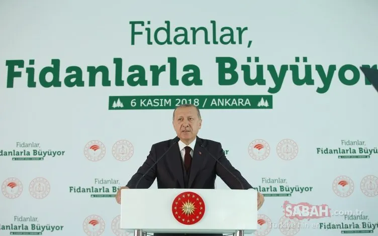 Başkan Erdoğan o projeyi resmen başlattı! 81 ilde milyonlarca fidan toprakla buluşmaya başladı