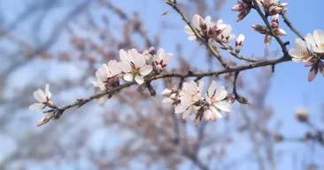 3. cemre ne zaman düşecek? Baharın müjdecisi son cemre düşme tarihi