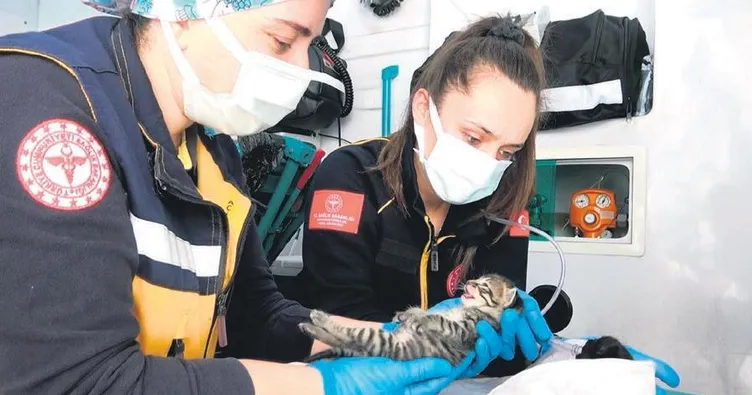 2 can böyle hayata döndürüldü