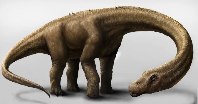 Afrika’da yeni bir dinozor türü keşfedildi