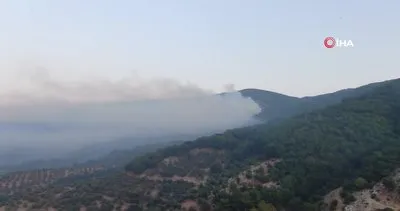 Kazdağları’ndaki orman yangın söndürme çalışmaları devam ediyor