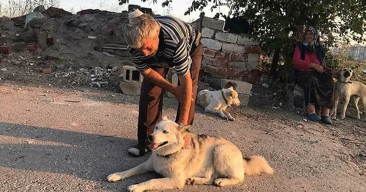 Ankara’da korkunç olay! Köpekleri besliyor diye kafasından vuruldu