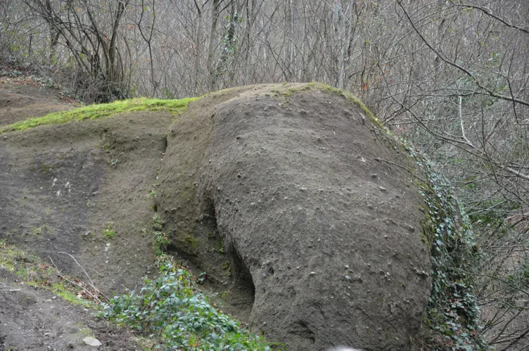 Ordu’daki ‘Fil Kayası’ görenleri şaşırtıyor