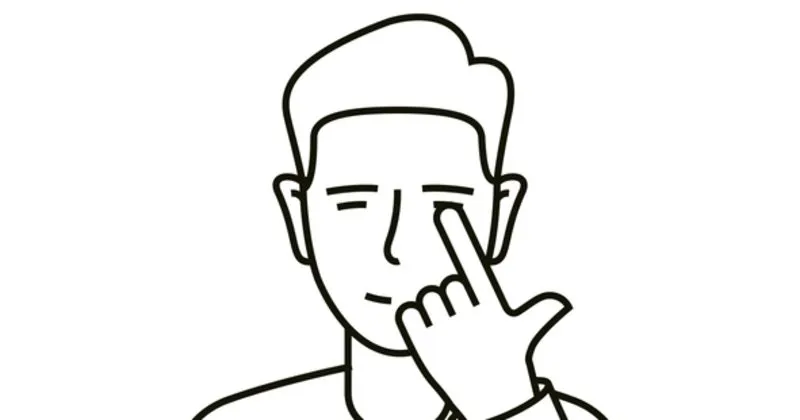 marifetname den segirmeler ve anlamlari marifetname de yer alan segirmelerin anlamlari ve neticeleri nelerdir egitim haberleri