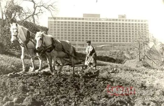 İstanbul’un bu fotoğrafları sizleri çok şaşırtacak! İşte Eski İstanbul’dan nostaljik fotoğraflar