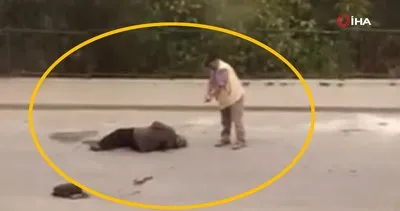 Son dakika haberi... Bursa’da dehşet! Yerde kanlar içinde yatan kadına... | Video