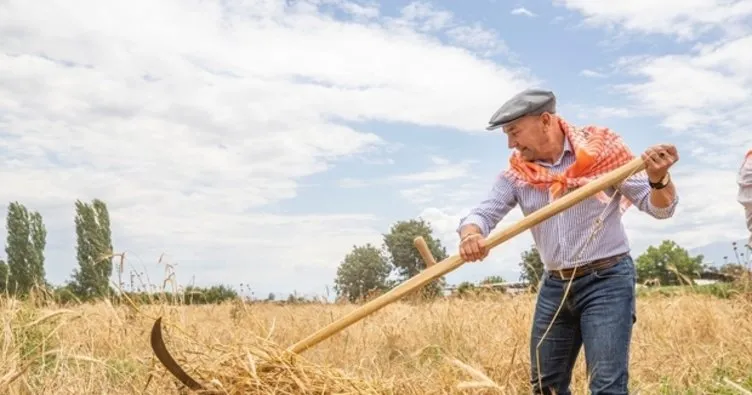 Neptün satıyor, Soyer alıyor! Süt kavurma derken şimdi de enginar