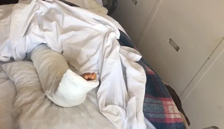 Tasmasız pitbull yaşlı kadına kabusu yaşattı: Köpek annemi resmen yedi!