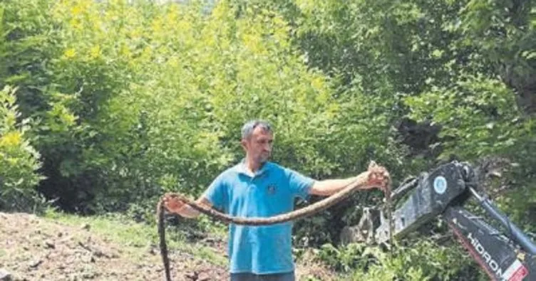 Su borusundan ağaç kökü çıktı