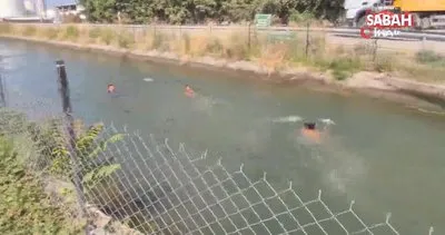 Su kanalında boğulma numarası yapan genci köpek böyle kurtardı | Video