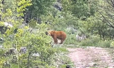 Kocaoğlan Erciyes’in eteklerinde