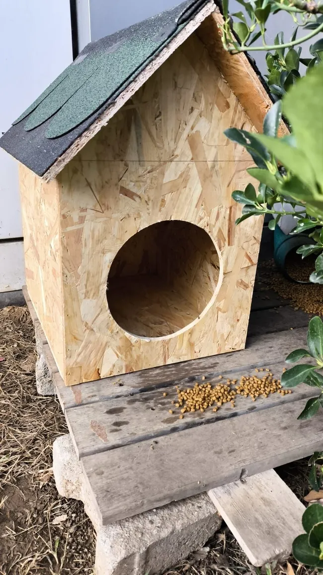 birgun-gazetesi-kediler-uzerinden-provokasyona-kalkisti-1762682785258.jpeg (899×1599)