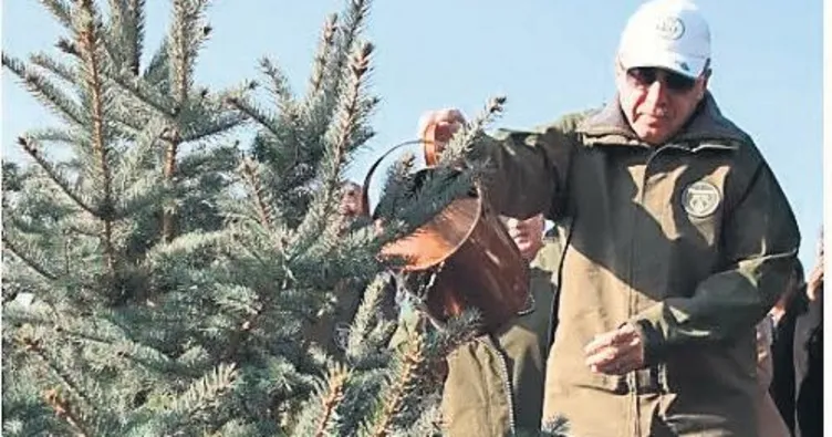 Yeşil vatan seferberliği