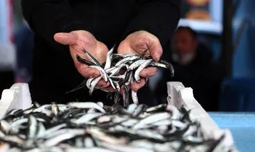 Karadeniz’deki avcılık yasağının fiyatlara yansıması bekleniyor