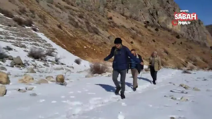 Karlı arazide kurda kaval dinletisi | Video