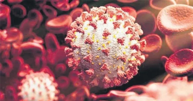 SON DAKİKA: Prof.Dr. Tevfik Özlü’den omikron koronavirüs varyantı uyarısı! ’’Aşısızlar büyük risk altındalar’’