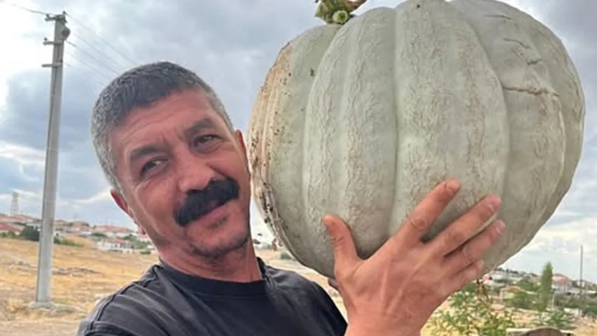 3 çocuk babasının acı sonu: Gittiği çiftlik evinde hayatını kaybetti! 3 çocuk babasının acı sonu: Gittiği çiftlik evinde hayatını kaybetti!