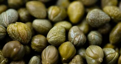 Karaciğer dostu bu besin güneş gören her yerde yetişiyor! İşte şifa deposu süper besin kaparinin faydaları...