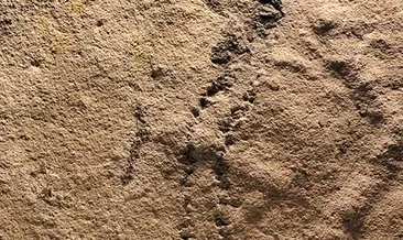 Dünyanın en eski hayvanının ayak izi bulundu