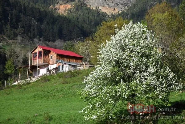 Yayla evleri de İmar Barışı kapsamında!