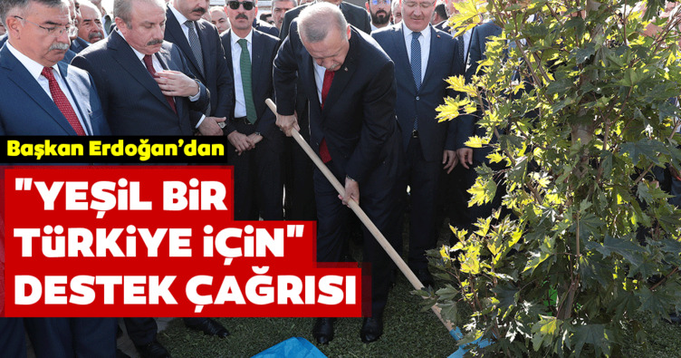 Başkan Erdoğan’dan yeşil bir Türkiye için destek çağrısı: