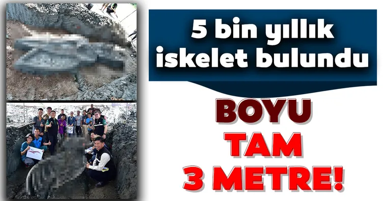 Tayland’da bulundu! Boyu tam 3 metre...