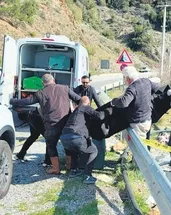 Saliha’yı boğup yol kenarına attılar