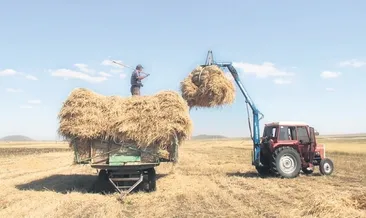 Çiftçilere hasat sigortası başladı