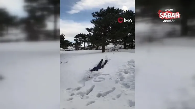 Denize atlar gibi karda yüzmeye çalıştılar | Video
