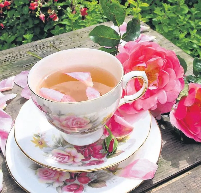 Şifalı kış çayları