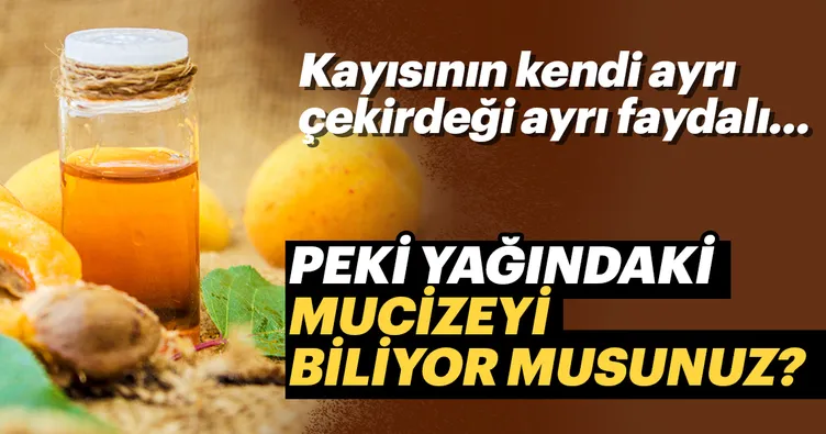 Kayısı yağının mucize faydaları