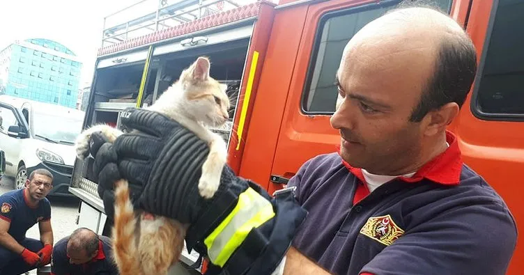 Aracın motoruna giren yavru kedi, 3 saatte kurtarıldı