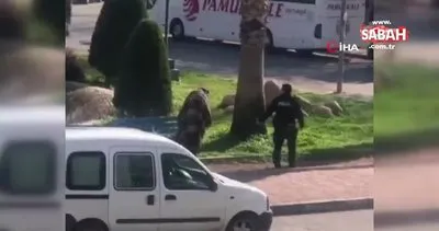 Antalya’da polis memurundan içleri ısıtan davranış... Parkta gördüğü evsiz vatandaşa kumanyasını verdi | Video