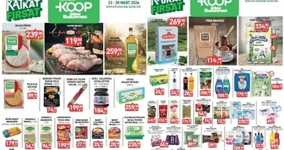 Tarım Kredi’de indirim rüzgarı! Tarım Kredi aktüel 23-30 Mart: Zeytinyağı, pirinç, tuvalet kağıdı, çay...