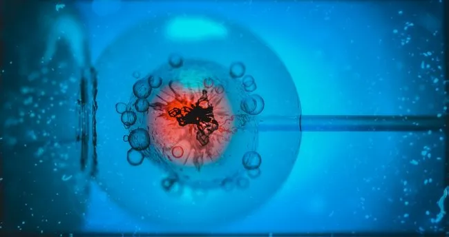 Dihibrit Çaprazlama Nedir? Dihibrit Çaprazlama Nasıl Yapılır, Örnekleri Neler?