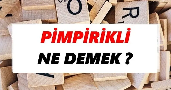 Pimpirikli Ne Demek? TDK’ya Göre Pimpirikli Sözlük Anlamı Nedir?