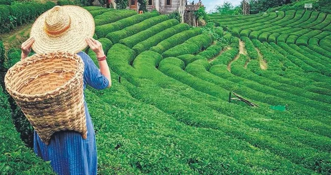 Karadeniz'de serin bir nefes - Yaşam Haberleri