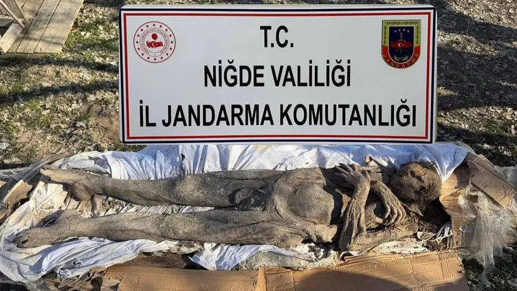 Definecilere Jandarma’dan profesör tuzağı! Soruşturmada çarpıcı detaylar: Mumyayı görünce şoka girdim