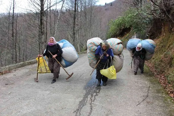 Karadeniz kadınının kuru yaprak mesaisi