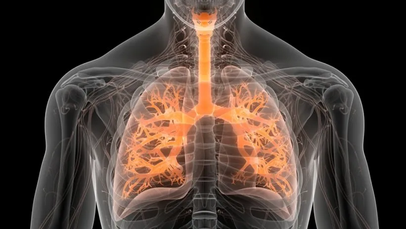 Akciğerlerin katranla dolmasına neden oluyor! Uzmanı kanser konusunda uyardı...