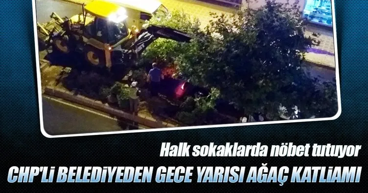 Tekirdağ’da CHP’li belediyenin ağaç katliamı son anda önlendi