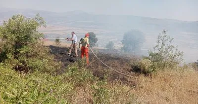 Bingöl’de kırsal alan yangını söndürüldü