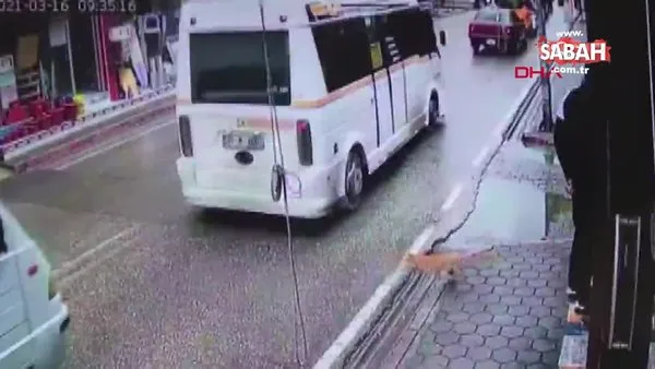 Adana'da hatalı sollama yapan sürücünün kediyi ezdiği anlar kamerada | Video