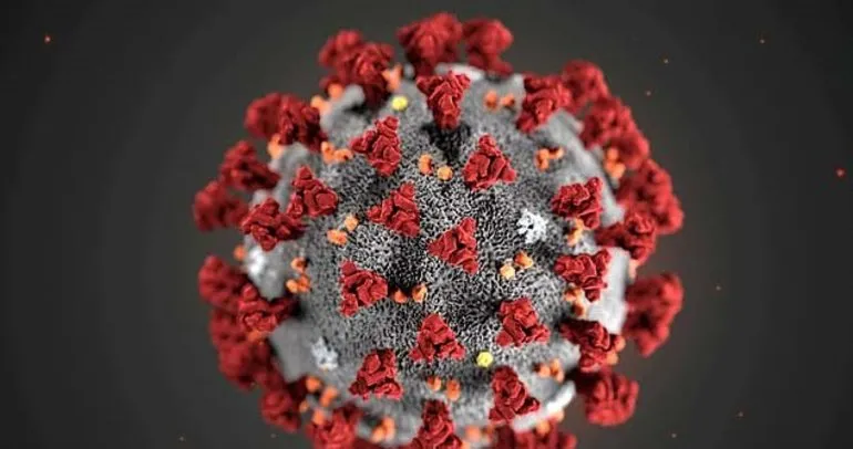 DSÖ yeni tip koronavirüsün adını Covid-19 olarak değiştirdi