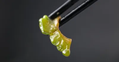 Kandaki zehri vücuttan atıyor!