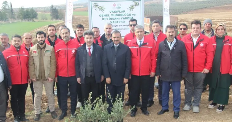 Depremzede çiftçiye zeytin fidanı dikildi