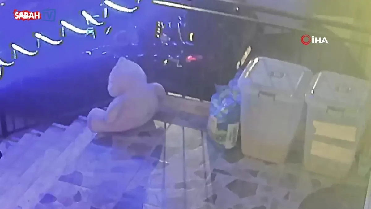 Petshop önündeki mama kutusunu çaldı… O anlar kamerada videosunu izle Petshop önündeki mama kutusunu çaldı… O anlar kamerada videosunu izle