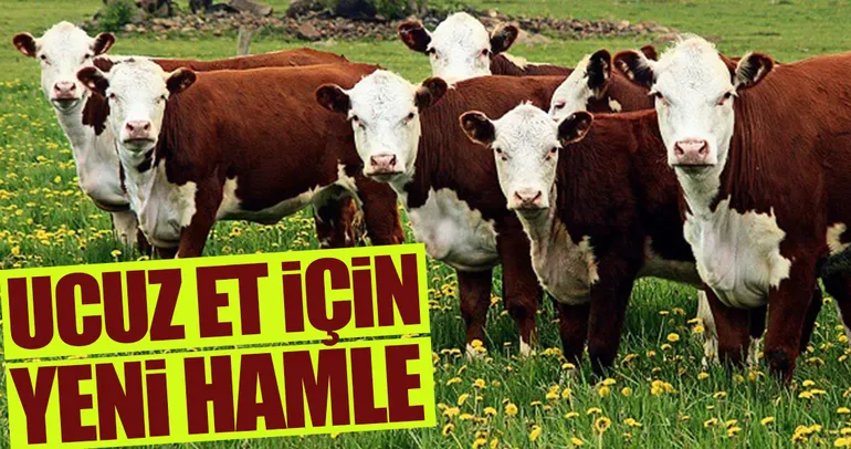 Ucuz et için yeni hamle