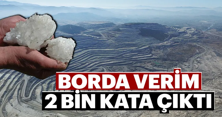 Borda verim 2 bin kata çıktı