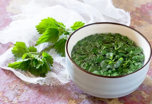 ¿Qué hierbas son buenas para la próstata?